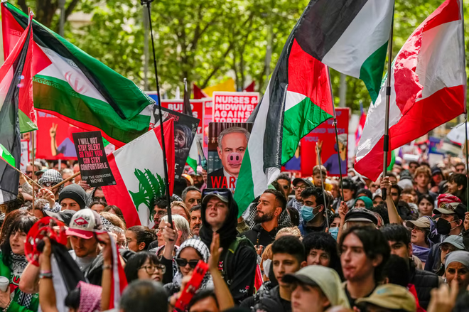 Pro-palestinian-supporters
